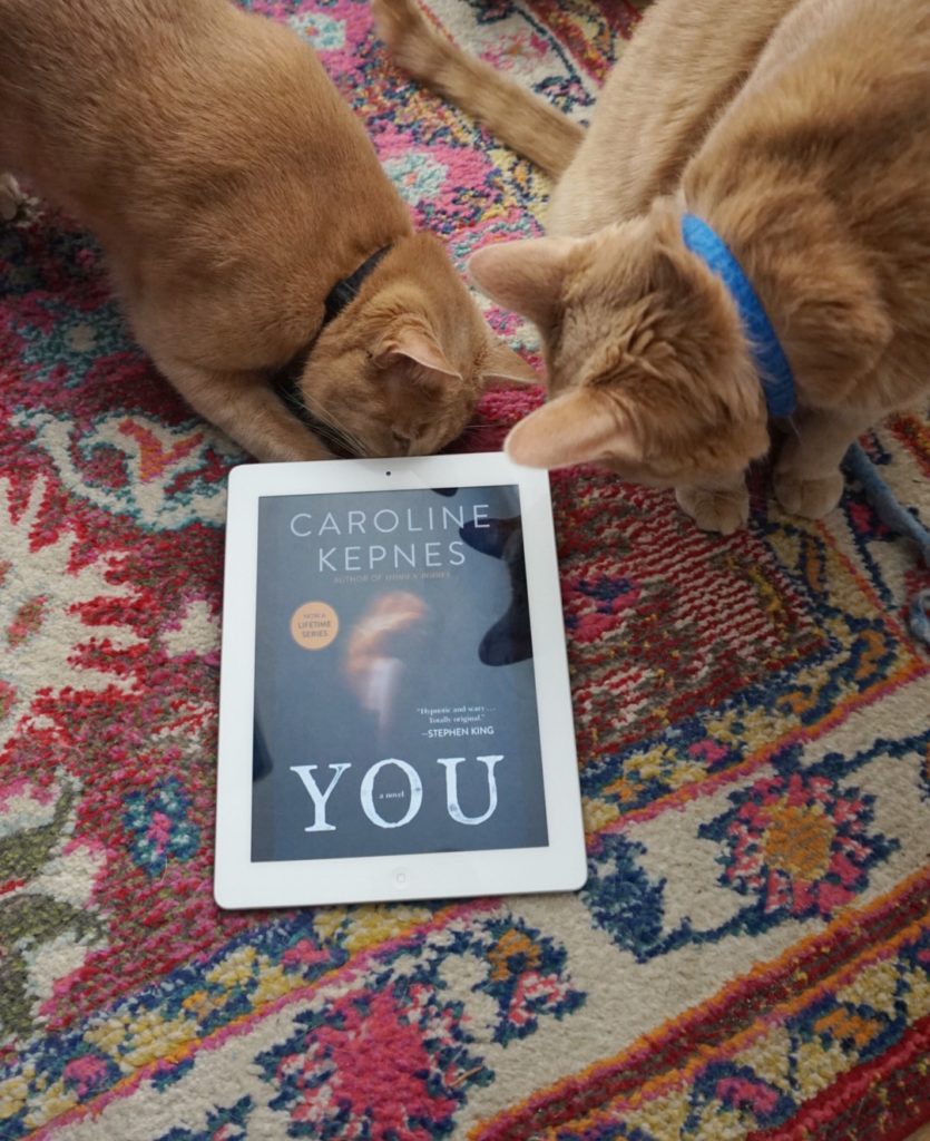 You by Caroline Kepnes: The Book vs. TV Show by Dara Boxer at Peonies and Bees