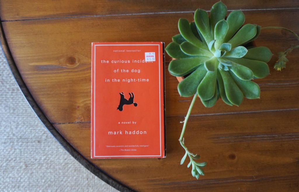 Book Review by Dara Boxer at Peonies and Bees | The Curious Incident of the Dog in the Night-Time